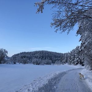 Eschachblick Lejlighed Zimmern ob Rottweil Exterior photo