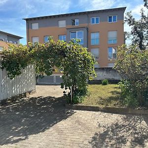 Bequemes Und Helles Einfamilienhaus Mit Garten Weil am Rhein Exterior photo
