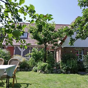 Alte Schusterei Direkt Am Fluss Und Altstadt Villa Oberndorf  Exterior photo