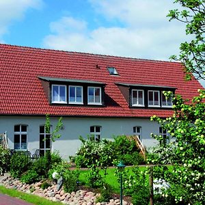 Reihenhaus Mit Wlan In Buchholz Am Mueritzsee Villa Exterior photo