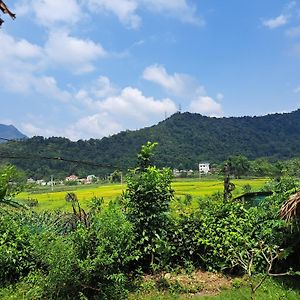 Homestay Field - Bungalow, Tour, Motorbikes Rental Hà Giang Exterior photo