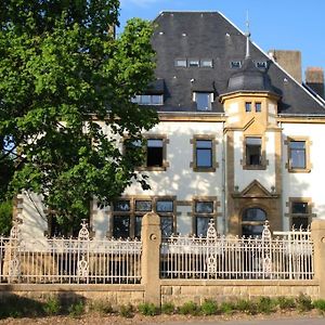 Loft Spacieux Et Luxueux Dans Immeuble De Charme Lejlighed Metz Exterior photo