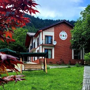 Holiday Borjomi Hotel Exterior photo