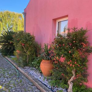 Casa Das Jardas Pensionat Idanha-a-Nova Exterior photo