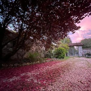 Evergreen Guesthouse Vernon  Exterior photo