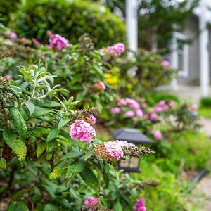 The Cozy Cottage - 10 Min From Unc Chapel Hill Exterior photo