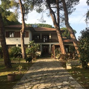 Beau Rivage - Suite Apartment In Villa Sant'Arcangelo di Romagna Exterior photo