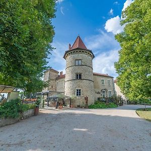 Chateau Chapeau Cornu Hotel Vignieu Exterior photo