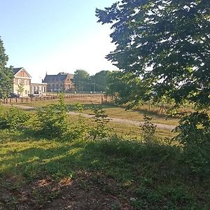 Superbe Studio Cosy Spacieux Au Rez De Chaussee Lejlighed Denain Exterior photo