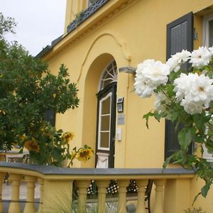 Gutshaus Mit Seeblick - Oekologisch & Nachhaltig Lejlighed Lubow Exterior photo