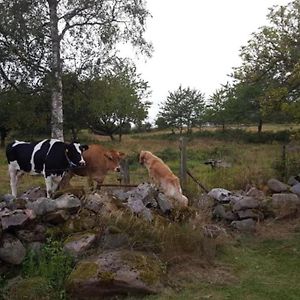 Gaesthus I Sloeinge Naera Skrea Strand Villa Sloinge Exterior photo