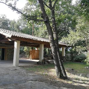 L'Atelier En Cevennes - Logement 55M2 Lejlighed Deaux Exterior photo