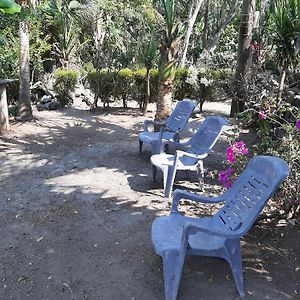 Playa Casa Nohelia Lejlighed Santo Domingo Exterior photo