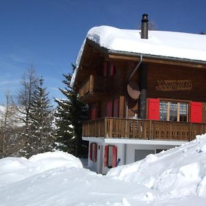 Ferienhaus Bergfreund Lejlighed Rosswald Exterior photo