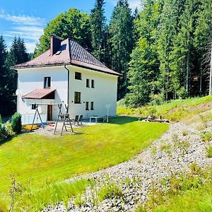 Ferienhaus Lebenskraft Villa Pfaffetschlag Exterior photo