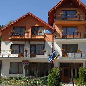 Vila Ana-Maria Hotel Sinaia Exterior photo