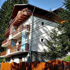 Pension Casa Soarelui Hotel Sinaia Exterior photo