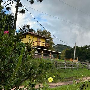 Sobrado Amarelo Villa Gonçalves Exterior photo