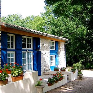 Le Clos Sainte Marie - Lampy Villa Cenne-Monesties Exterior photo