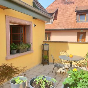 Le Schmoutz: Charmant Duplex Entre Colmar Et Mulhouse Lejlighed Ensisheim Exterior photo