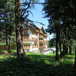 Grand Hotel & Kurhaus Arolla Exterior photo