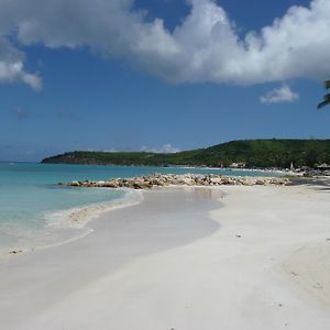 Buccaneer Beach Club Lejlighedshotel Dickenson Bay Exterior photo