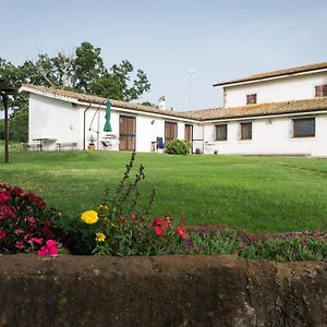 Agriturismo Il Poggio Pensionat Vetralla Exterior photo