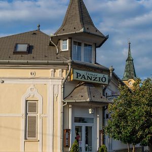 Timar Panzio Hotel Gyomaendrőd Exterior photo