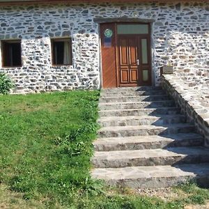 Grange Restauree Avec Terrasse Et Wifi A La Bastide - Fr-1-582-178 Villa Retournac Exterior photo