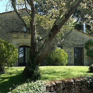 Maison Dans L'Entre-Deux-Mers Villa Saint-Vincent-de-Pertignas Exterior photo