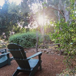 Bentwood Olive Grove Accommodation Greenough Room photo