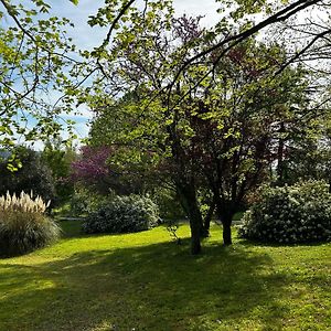 Au Bonheur Dupré Bed&Breakfast Bed and Breakfast Montoire-sur-le-Loir Exterior photo