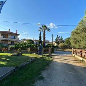 Filemial House Lejlighed Agios Mamas  Exterior photo