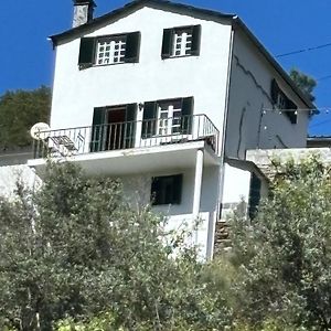 White House Villa Piódão Exterior photo