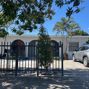 Coral Gable Studio & House Free Parking & Wifi Lejlighed Miami Exterior photo