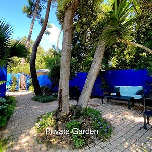 Studio With Beautiful Private Garden On The Forest In Domino Lejlighed Les Sables Vignier Exterior photo