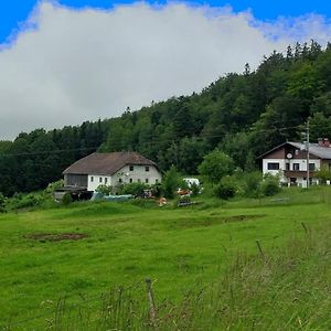 Kriegwald Apartements Julbach Exterior photo