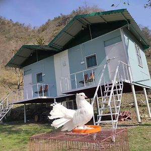 Cherapunji Bunk Stay Dehradun Exterior photo