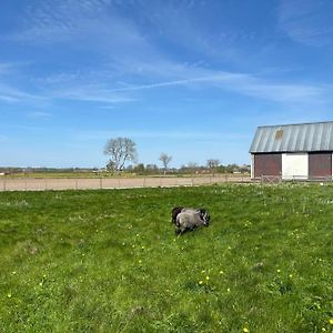 Osterlen Oasis Lejlighed Spjutstorp Exterior photo