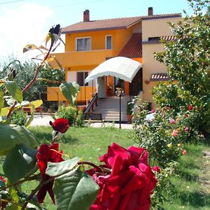 La Farfalla Hotel Fossacesia Exterior photo