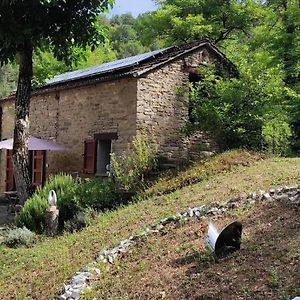 Porcaticcio, Ferienhaus Im Wald Mit Pool Lejlighed Casola Valsenio Exterior photo