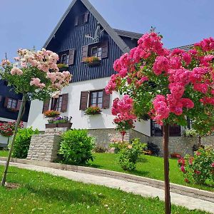 Pansion Breza Hotel Plitvička Jezera Exterior photo