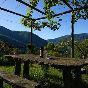 Wild Valley Garden Paradise In Valle Onsernone Lejlighed Auressio Exterior photo