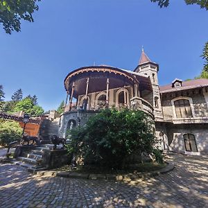 Castelul Stirbey Hotel Sinaia Exterior photo