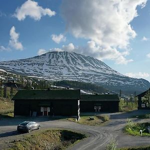 Laegenhet Med Utsikt Mot Gaustatoppen, Ski In Ski Out Lejlighed Gaustablikk Exterior photo