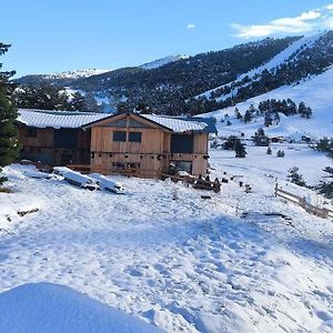 Little Wooden Cabin Villa Greolieres Exterior photo