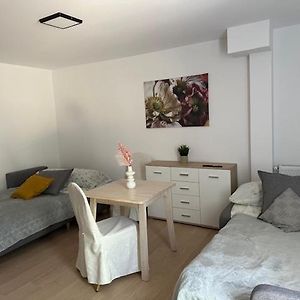 Apartament Nr 1 Lub 2 Przy Sali Kominkowej Lejlighed Przeczyce Exterior photo