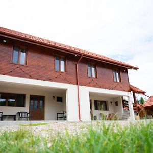 Cabana Valea Popii Hotel Sita Buzăului Exterior photo