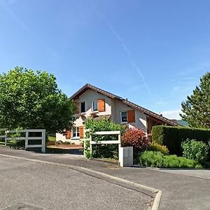 Maison Complete Entre Annecy Et Aix-Les-Bains Rumilly (Haute-Savoie) Exterior photo