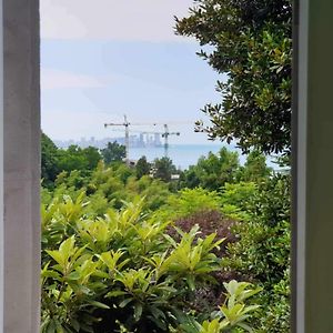 Green Paradise Hotel Batumi Exterior photo